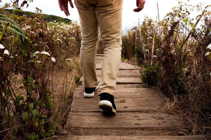 Walk the Ribble Way
