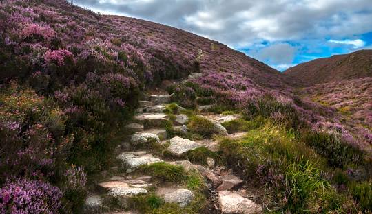 Cairngorms National Park