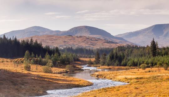 Galloway Forest Park