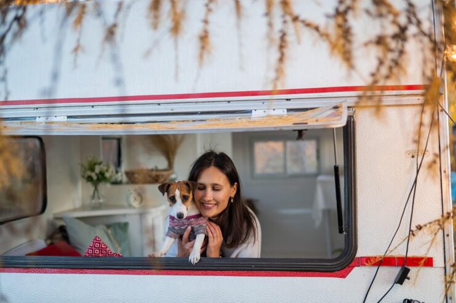 Explore the UK with Your Pet Why Pet Friendly Motorhome Hire Is the Way to Go Explore the UK with Your Pet: Why Pet Friendly Motorhome Hire Is the Way to Go