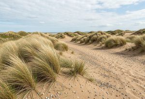 Gun Hill Dunes, Norfolk