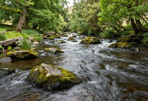 River Bradford, Youlgreave (Peak District)