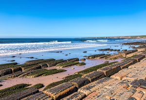 Seacliff Beach, East Lothian