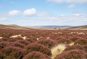 Braemar, Aberdeenshire